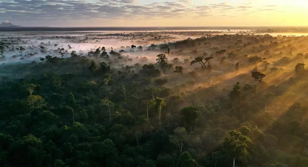 View original image source.