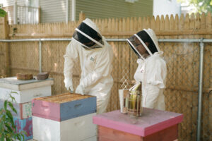 View original image source.