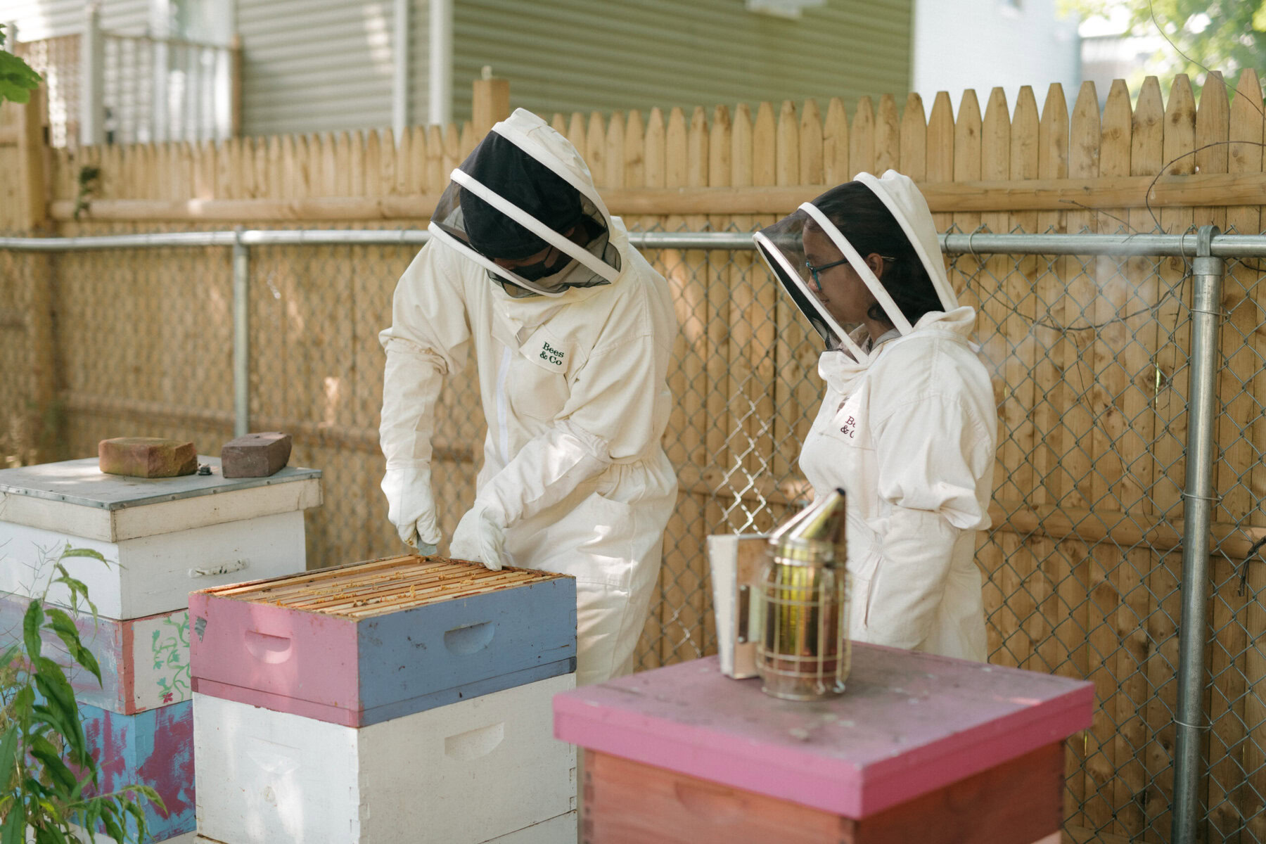 View original image source.