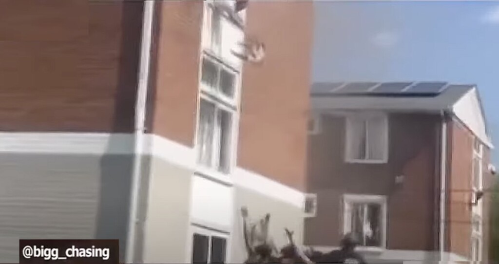 View original image source.