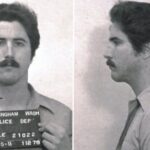 View original image source.