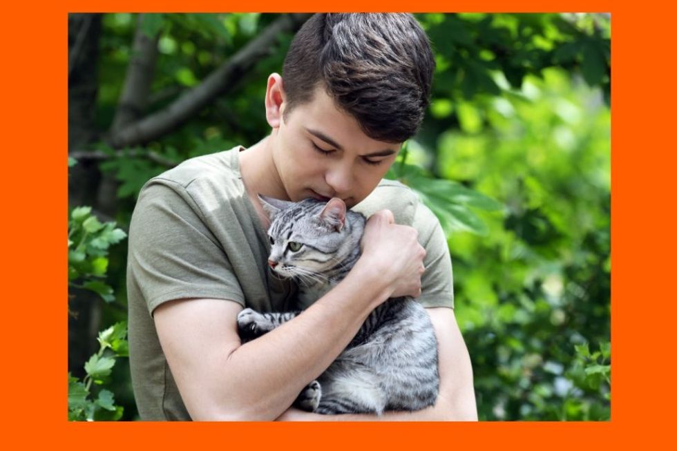 View original image source.