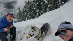 View original image source.