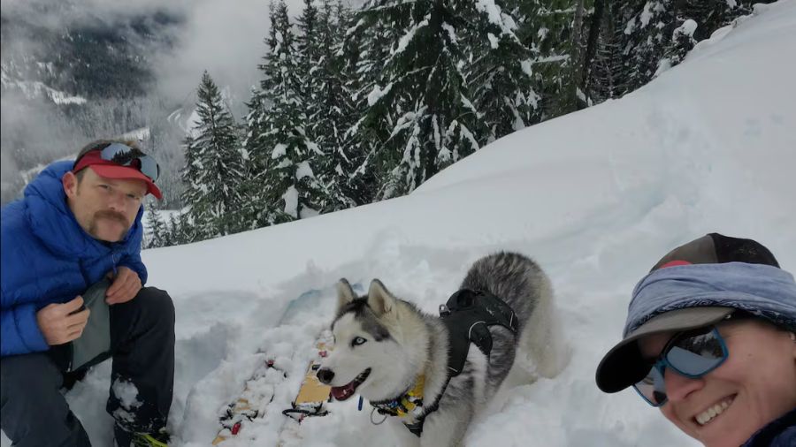 View original image source.