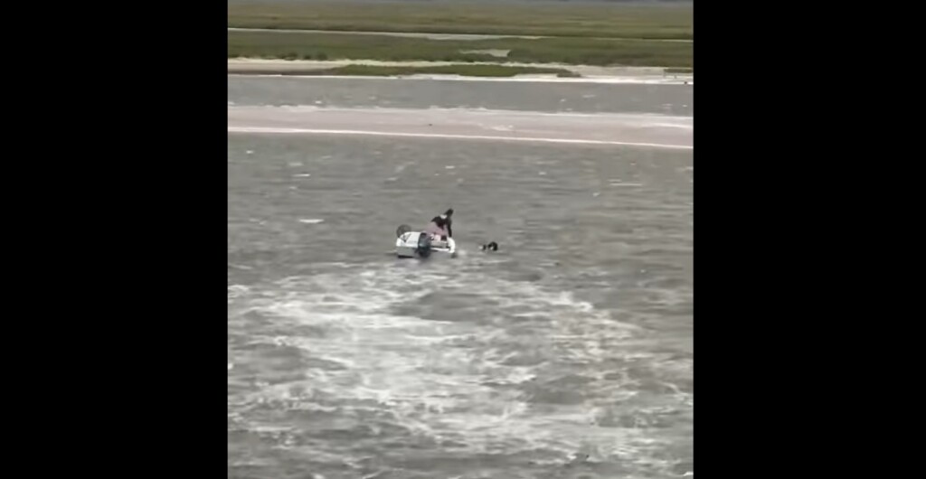 View original image source.