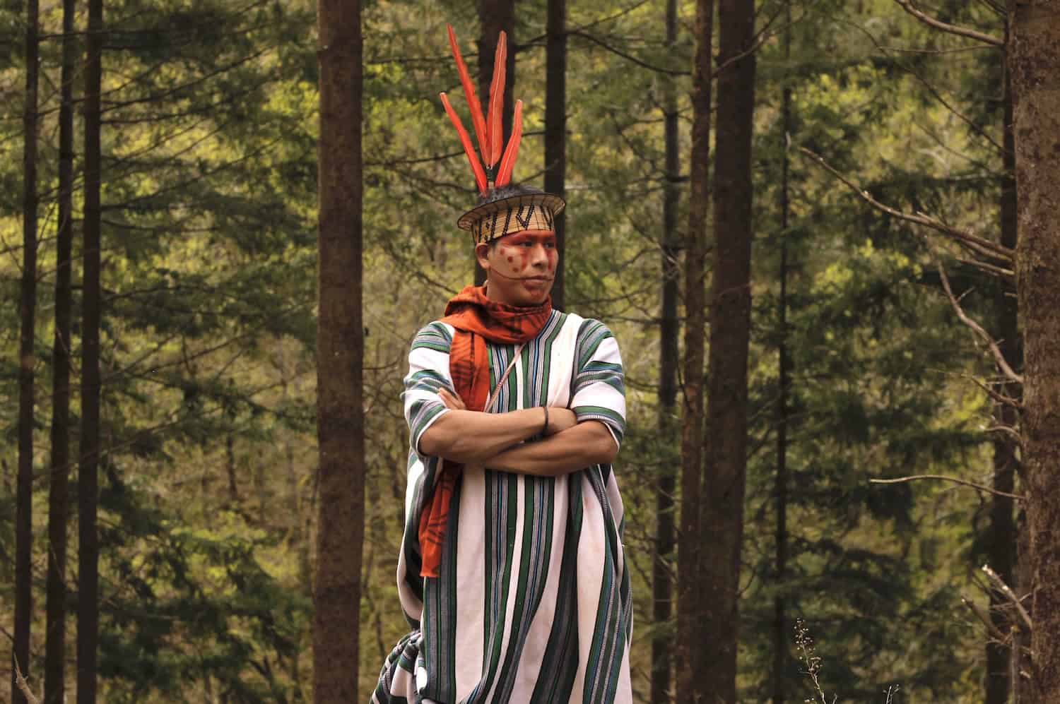 View original image source.