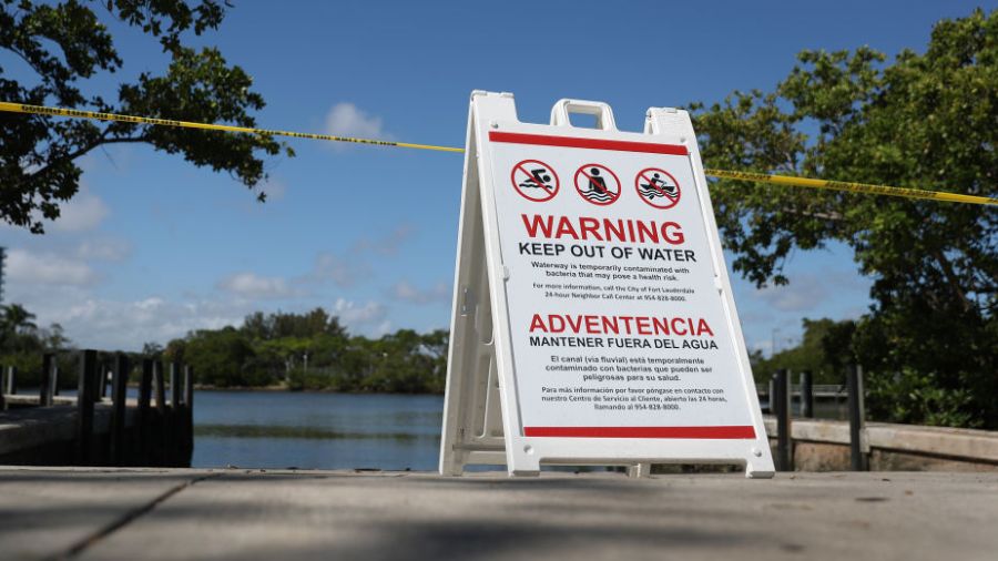 View original image source.