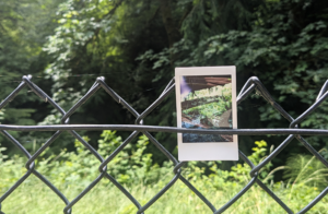 View original image source.