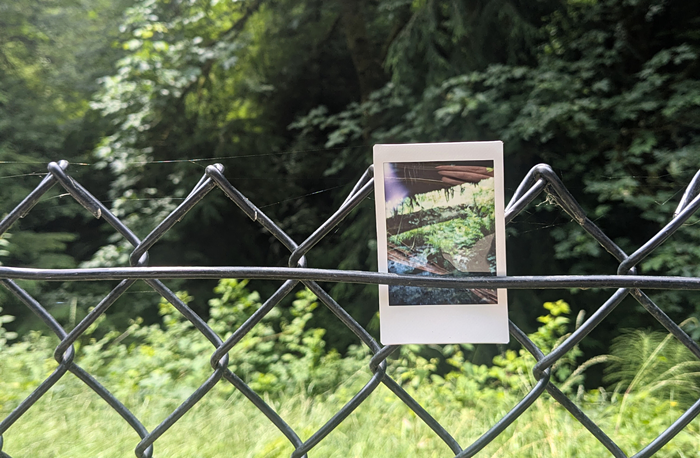 View original image source.