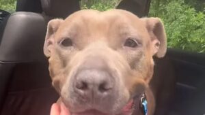 View original image source.