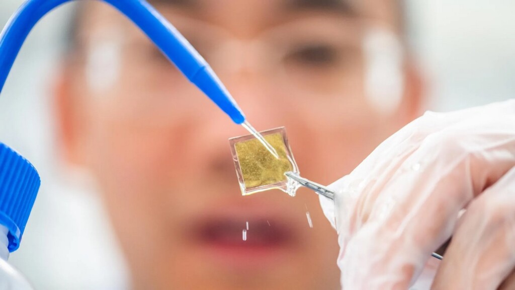 View original image source.