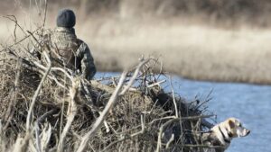 View original image source.