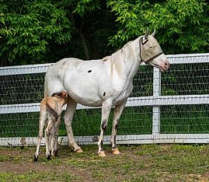 View original image source.