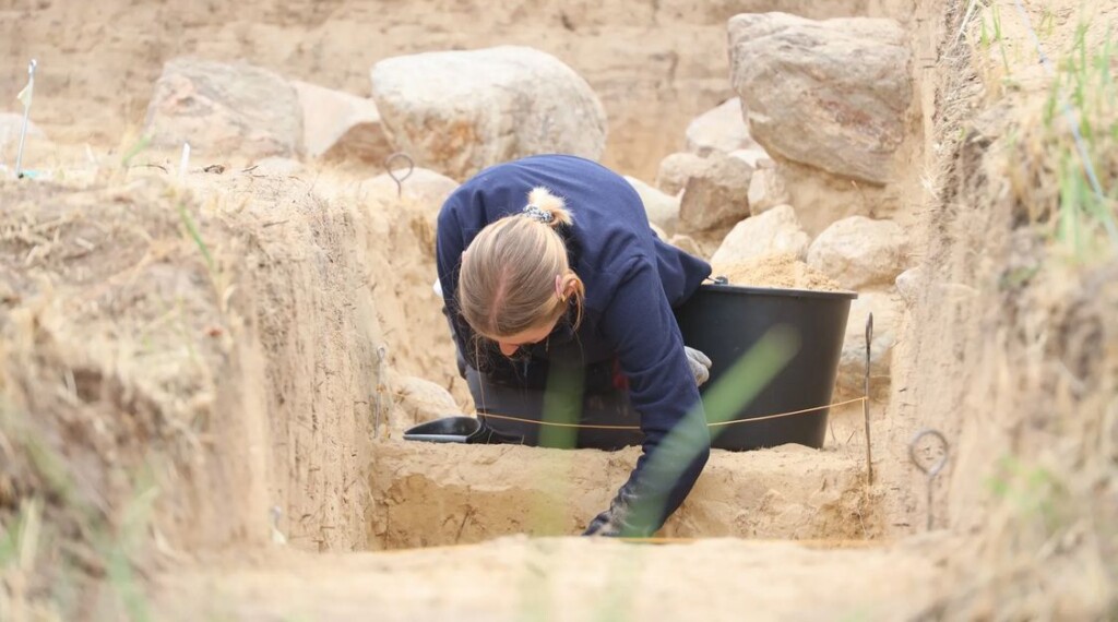 View original image source.