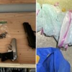 View original image source.