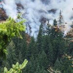 View original image source.