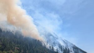 View original image source.