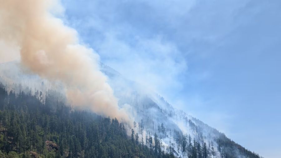 View original image source.