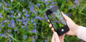 View original image source.