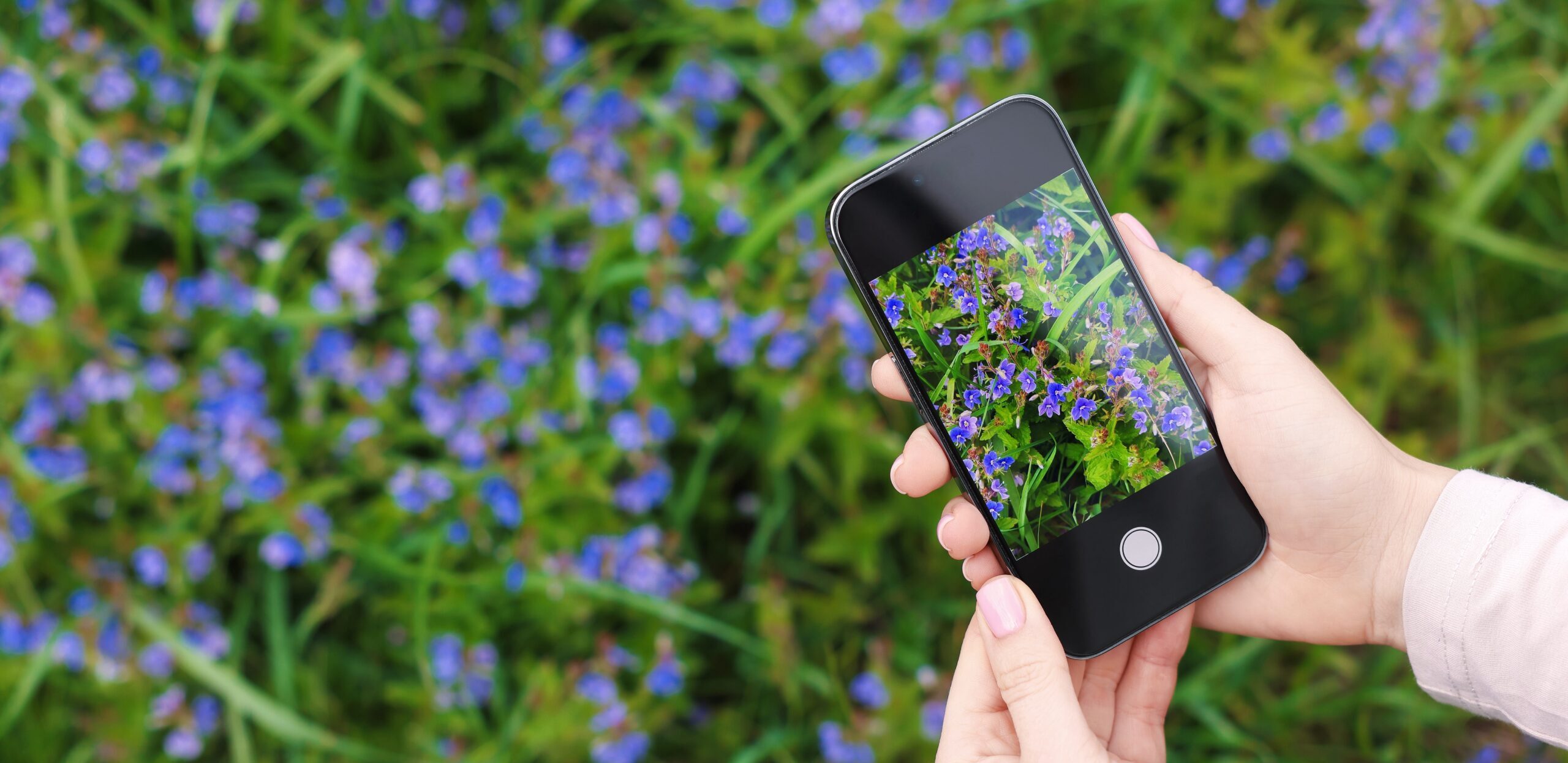 View original image source.