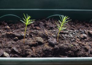 View original image source.