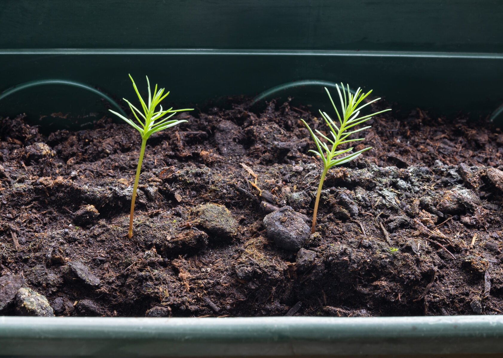 View original image source.