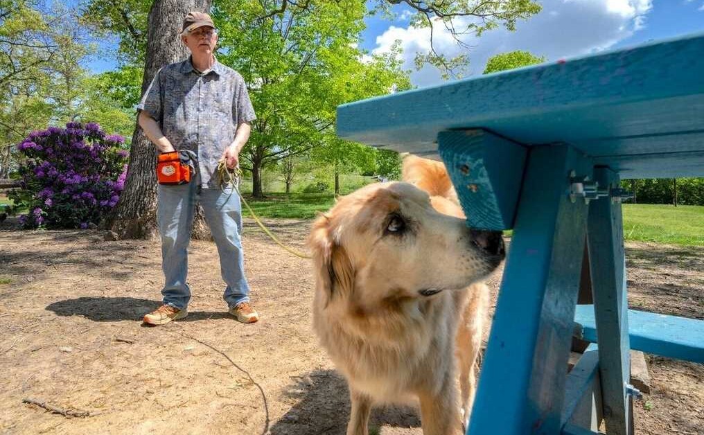 View original image source.