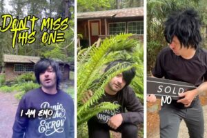 View original image source.