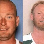 View original image source.