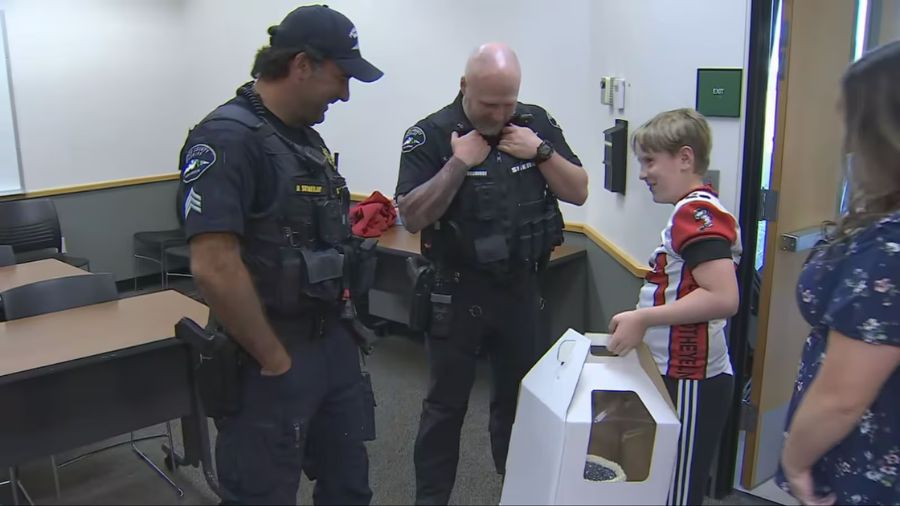 View original image source.