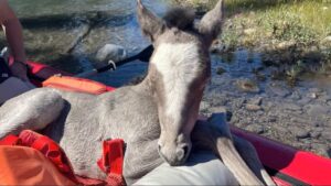 View original image source.