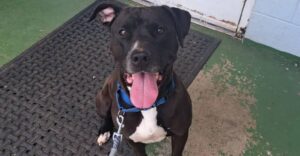 View original image source.