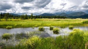 View original image source.