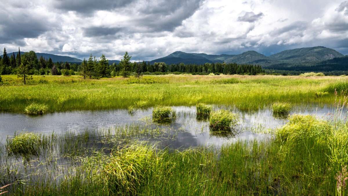 View original image source.