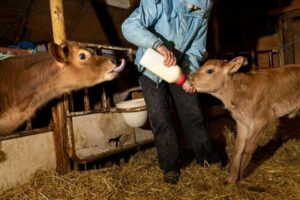 View original image source.