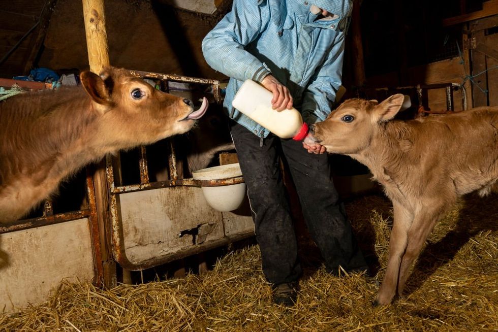 View original image source.