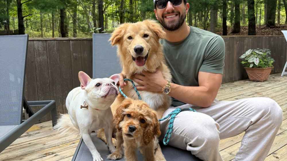 View original image source.