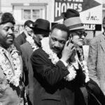 View original image source.