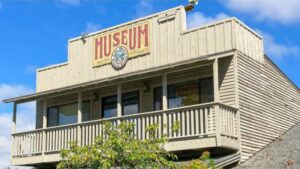 View original image source.