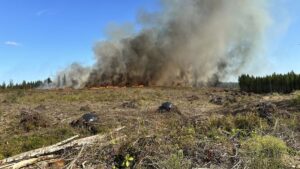 View original image source.