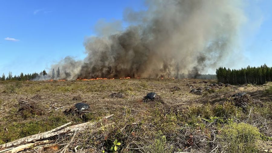 View original image source.