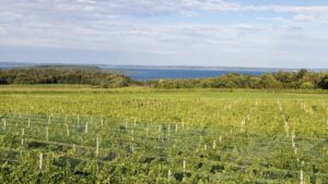 View original image source.