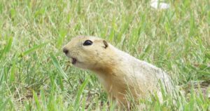 View original image source.