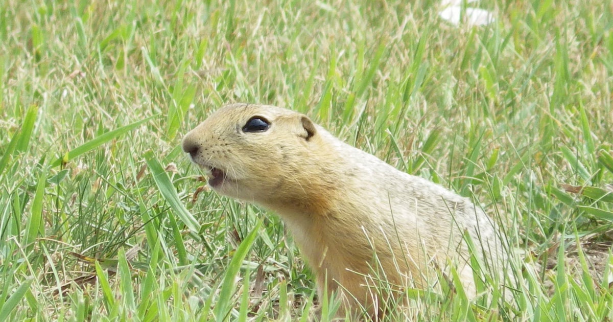 View original image source.