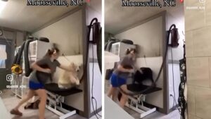 View original image source.