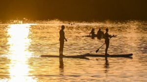 View original image source.