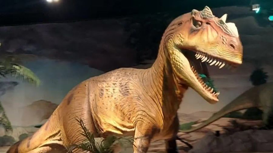 View original image source.