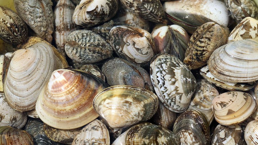 View original image source.