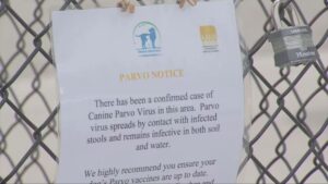 View original image source.