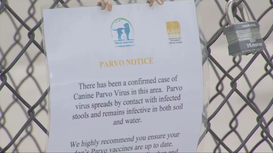 View original image source.